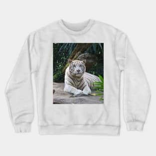 White Beauty Crewneck Sweatshirt